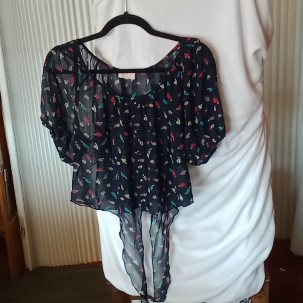 Cute woman's sheer top